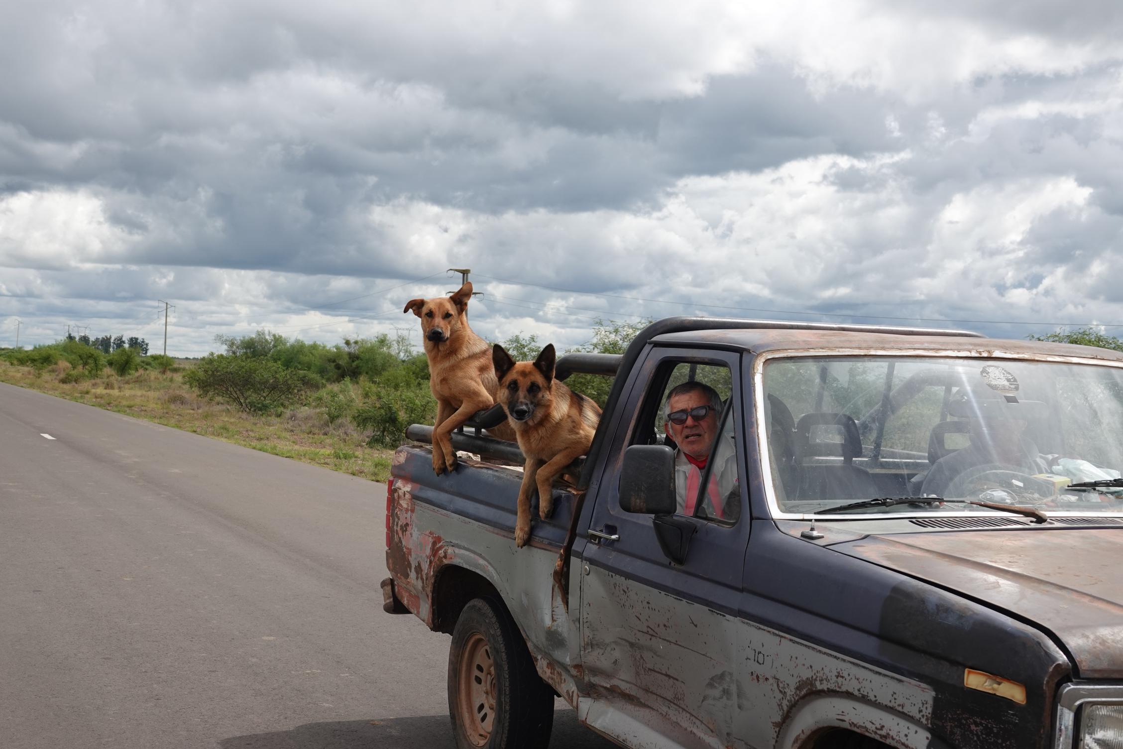Парк Ибера и водопады Игуасу