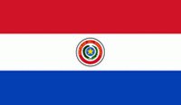 flag_paragvai flag_paragvai